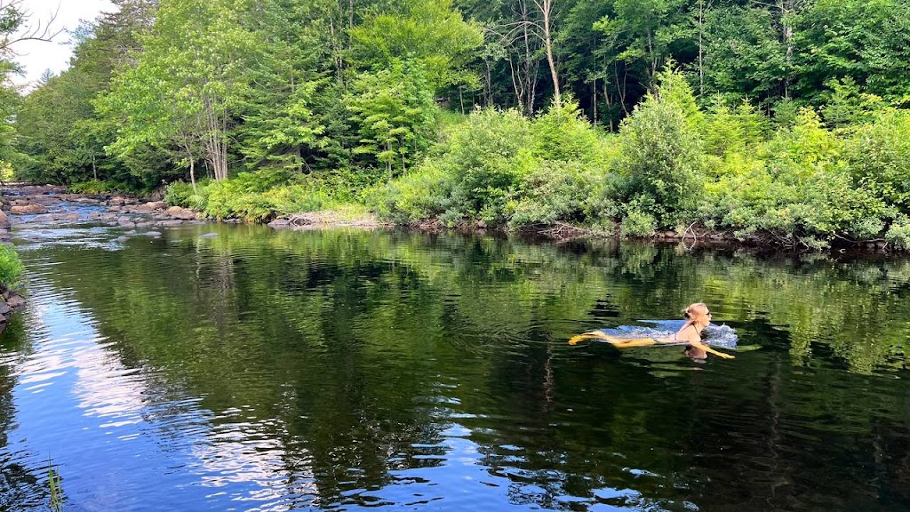 Forest bed and breakfast with river rest area | 6289 Rte Principale, Wentworth-Nord, QC J0T 1Y0, Canada | Phone: (647) 870-4400