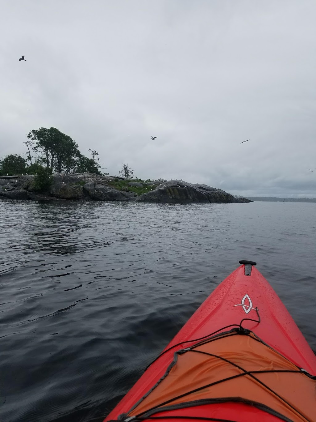 Eleanor Island Bird Sanctuary | Torrance, ON P0C 1M0, Canada