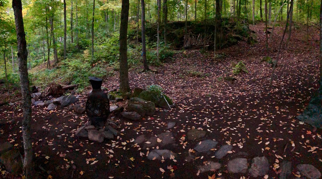 Forêt De Freli Inc (La) | 40 Chemin des Bouleaux, Frelighsburg, QC J0J 1C0, Canada | Phone: (450) 298-5372