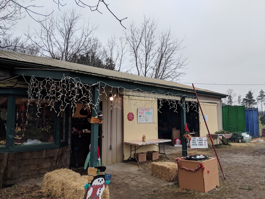 Twinkle Trees | 3906 Mountain Street Opposite, Albright Gardens, Beamsville, ON L0R 1B0, Canada | Phone: (416) 545-7245