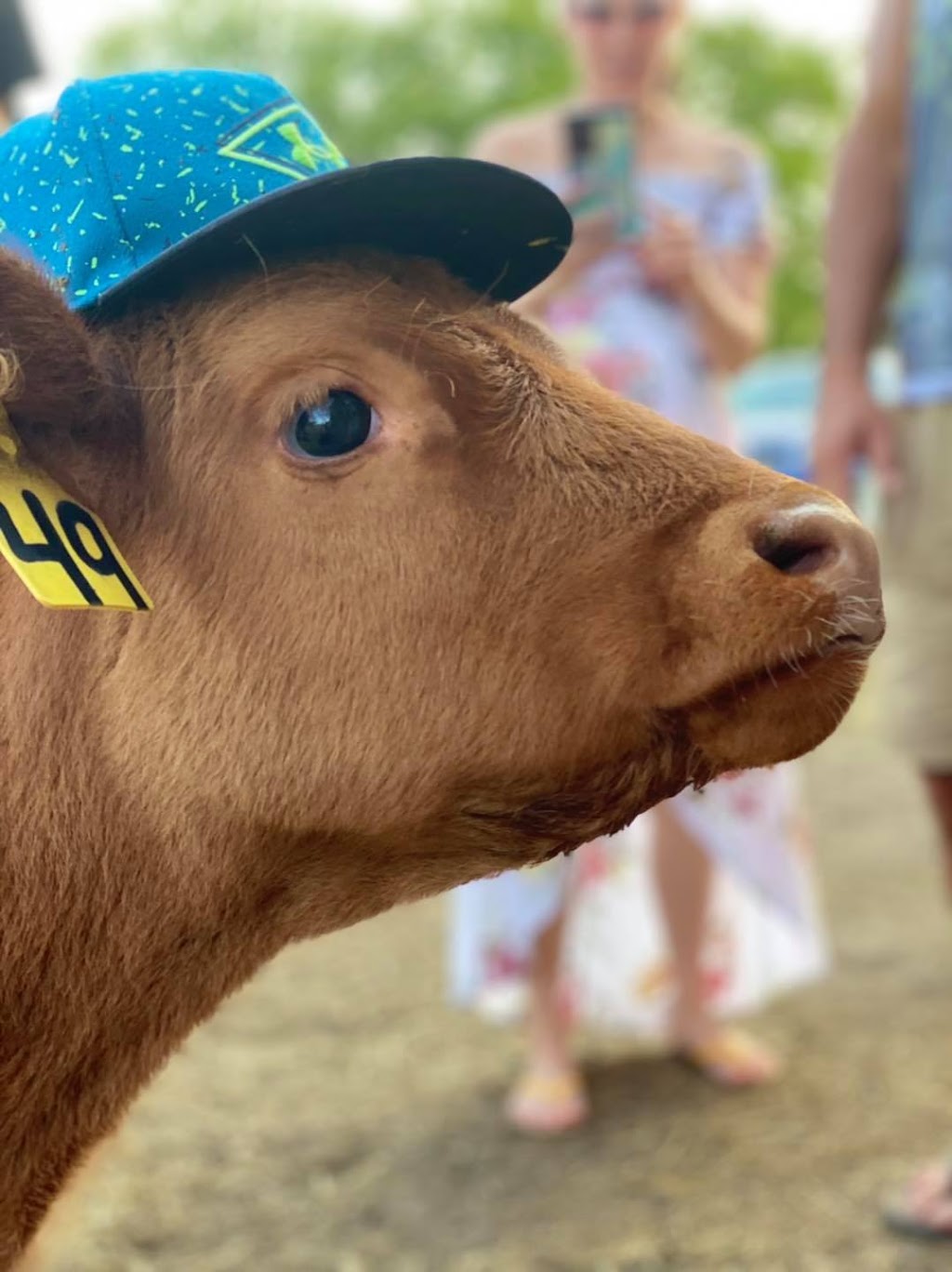 Boomers Funny Farm | 18064 Gimli Park Rd, Aspen Park, MB R0C 1B0, Canada | Phone: (204) 891-0211