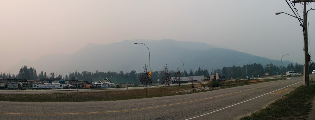 Jin Yuan Chinese Restaurant | 1213 Eagle Pass Way, Sicamous, BC V0E 2V0, Canada | Phone: (250) 836-4646