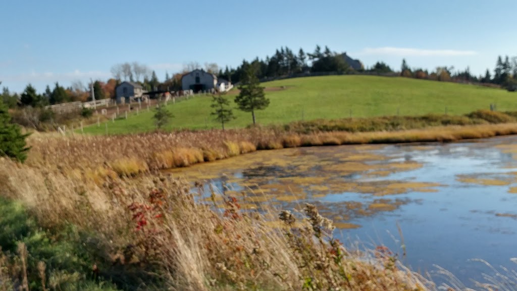 Sambea Farm | 79 Conrad Rd, Lawrencetown, NS B2Z 1S1, Canada | Phone: (902) 488-9607