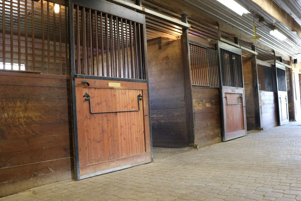 Menden Ridge | 1026 Governors Rd W, Princeton, ON N0J 1V0, Canada | Phone: (905) 407-4022
