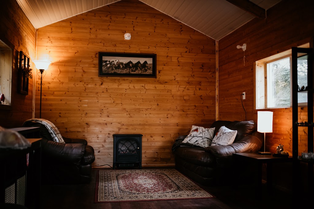 Hooves of Hope Ranch | 243036, TWP 475A, Millet, AB T0C 1Z0, Canada | Phone: (587) 983-9736