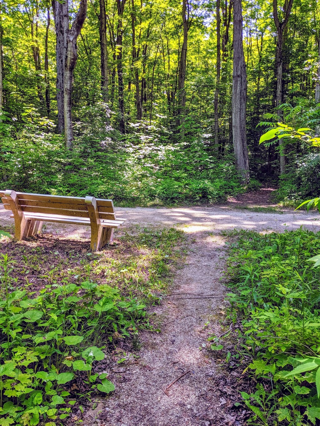 Meaford Memorial Park | 179 Grant Av, Meaford, ON N4L 1A8, Canada | Phone: (519) 538-2530