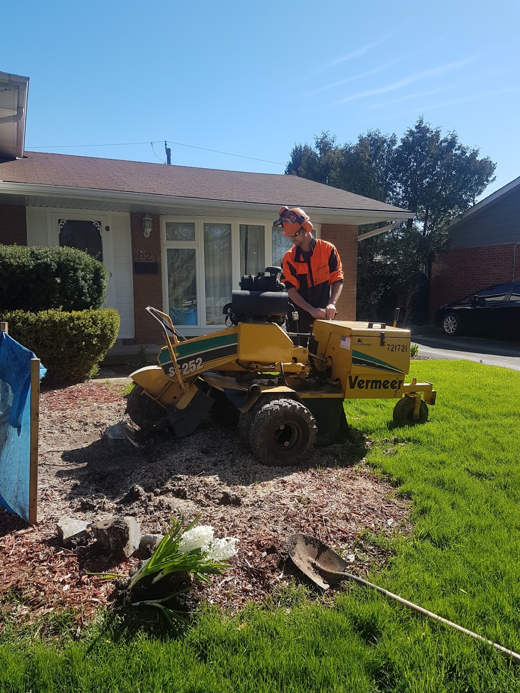 Amazing Tree Trimming Services Inc | 700 ON-6, Caledonia, ON N3W 1M6, Canada | Phone: (905) 630-4177