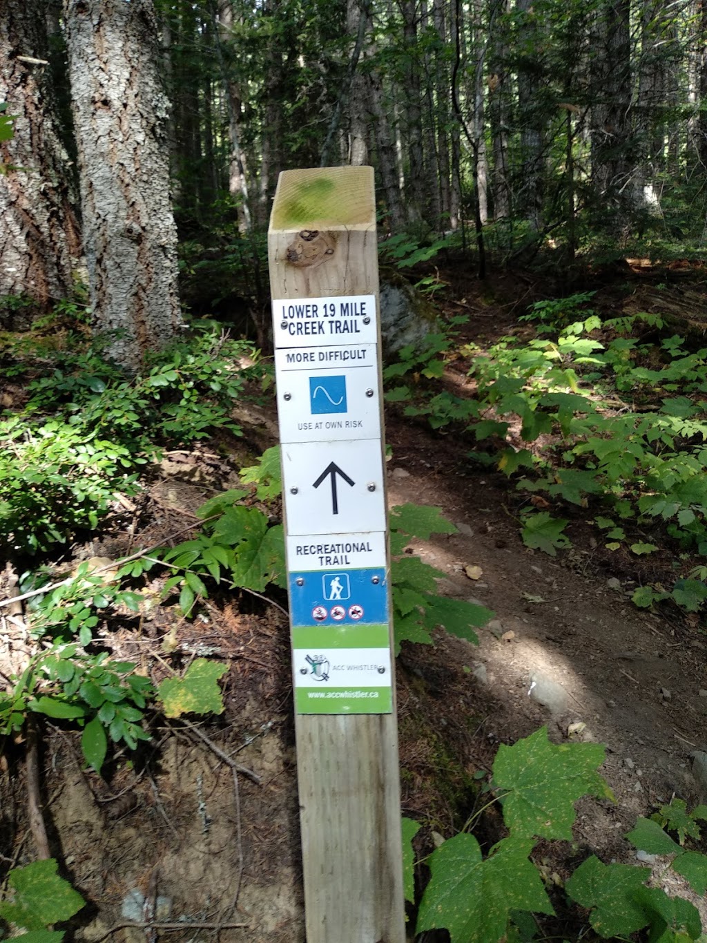 Skywalk Trailhead | Mountain View Dr, Whistler, BC V0N 1B8, Canada | Phone: (604) 754-8993