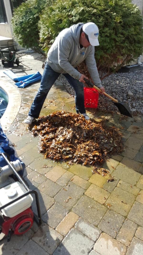 Rich and Jays Pool Service | Carriage Rd, Winnipeg, MB R2Y 0L7, Canada | Phone: (204) 504-7665