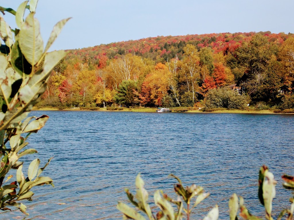 Chalet le Baluchon | 41 Chemin du Baluchon, Lac-des-Plages, QC J0T 1K0, Canada | Phone: (819) 426-6666