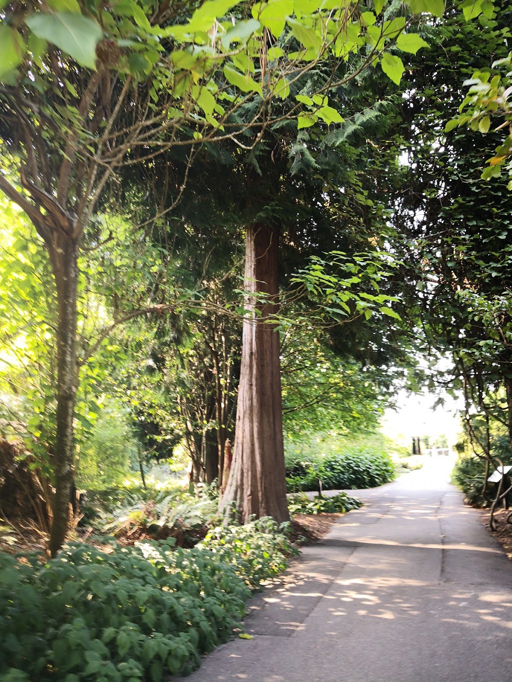UBC Botanical Garden | Administration Building, 6804 SW Marine Dr, Vancouver, BC V6T 1Z4, Canada | Phone: (604) 822-4208