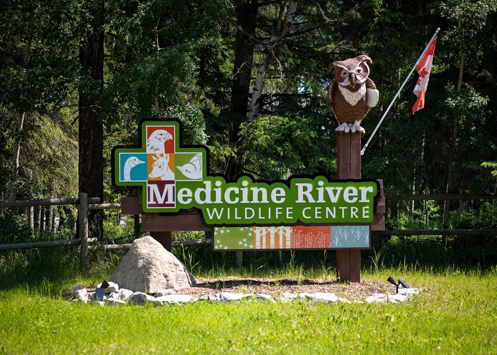 Medicine River Wildlife Centre | Box 115, Spruce View, AB T0M 1V0, Canada | Phone: (403) 728-3467