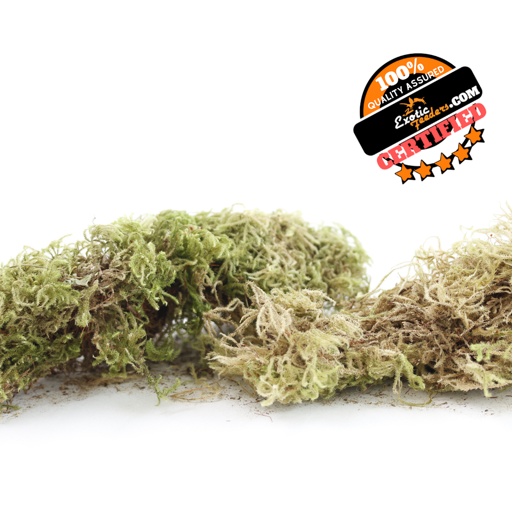 Exotic Feeders Inc ™ | 1550 Yorkton Ct Unit 4, Burlington, ON L7P 5B7, Canada