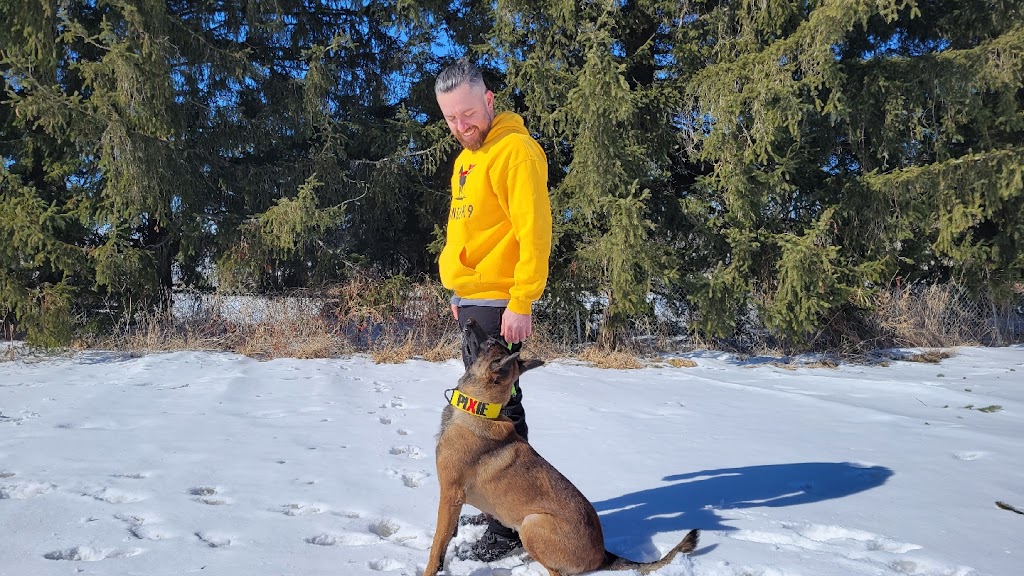 Wunder K9s Training School | 13563 ON-7, Georgetown, ON L7G 4S4, Canada | Phone: (437) 974-6060
