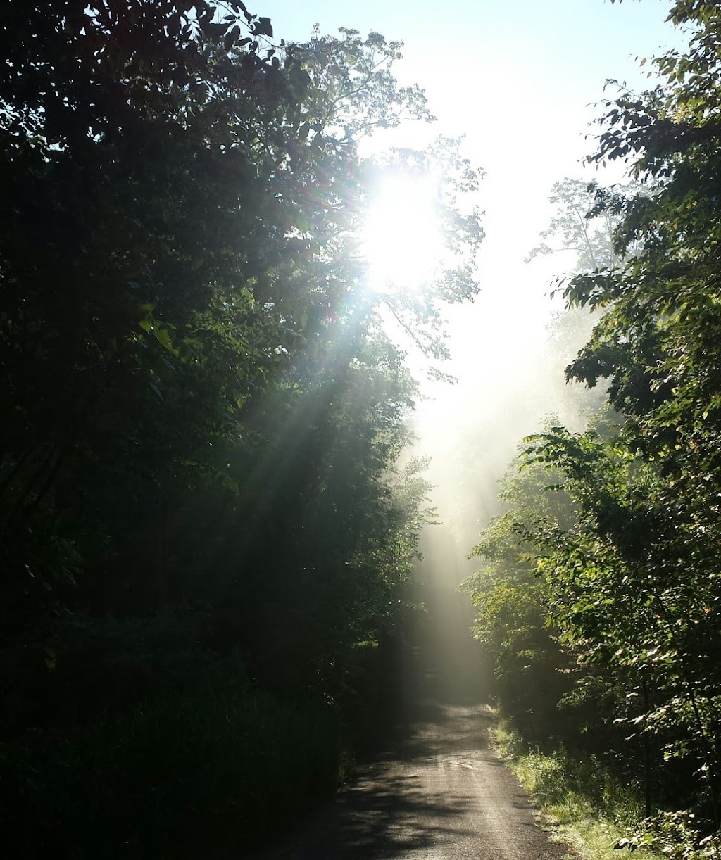 Trails Youth Initiatives | 15599 Warden Ave., Whitchurch-Stouffville, ON L4A 2M9, Canada | Phone: (905) 836-0100