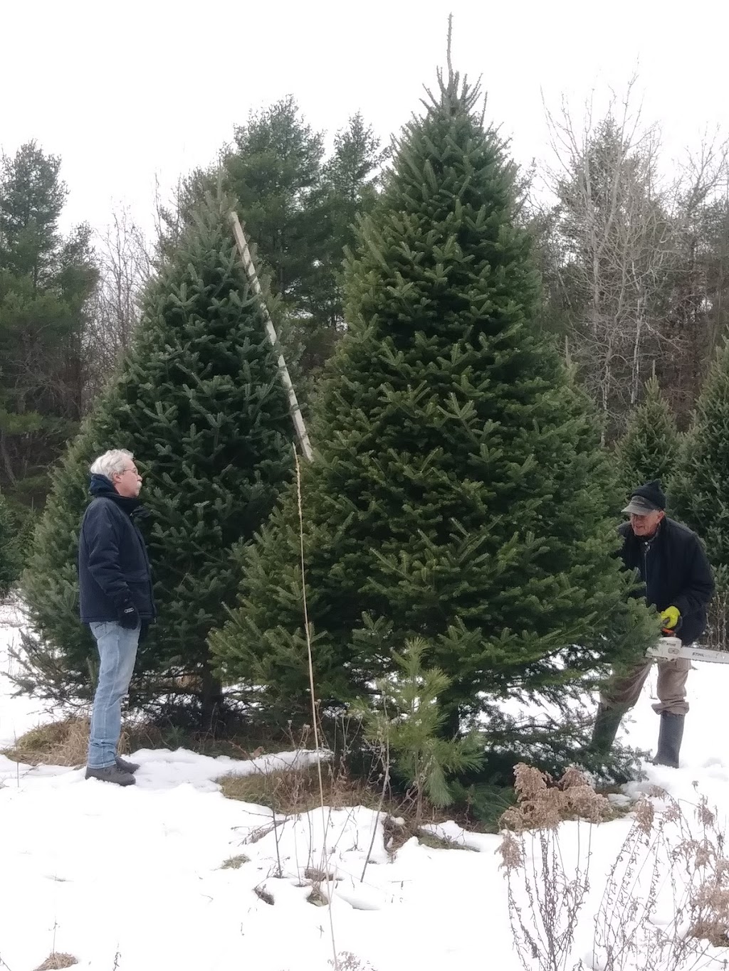 Plantation des Frontières | 295 Chemin des Érables, Saint-Armand, QC J0J 1T0, Canada | Phone: (450) 248-3575