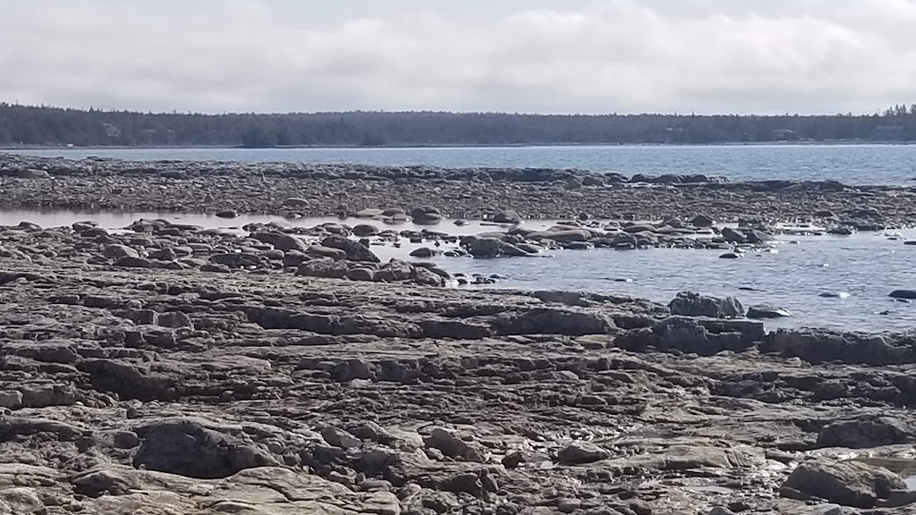 Johnston Harbour - Pine Tree Point Provincial Nature Reserve | Miller Lake, ON N0H 1Z0, Canada | Phone: (519) 389-9056