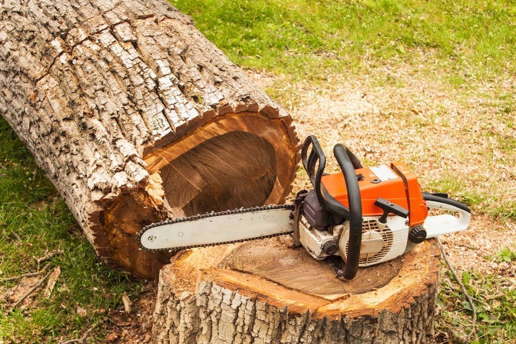 Westisland Tree Service | Old Châteauguay Rd, Kahnawake, QC J0L 1B0, Canada | Phone: (514) 631-6162