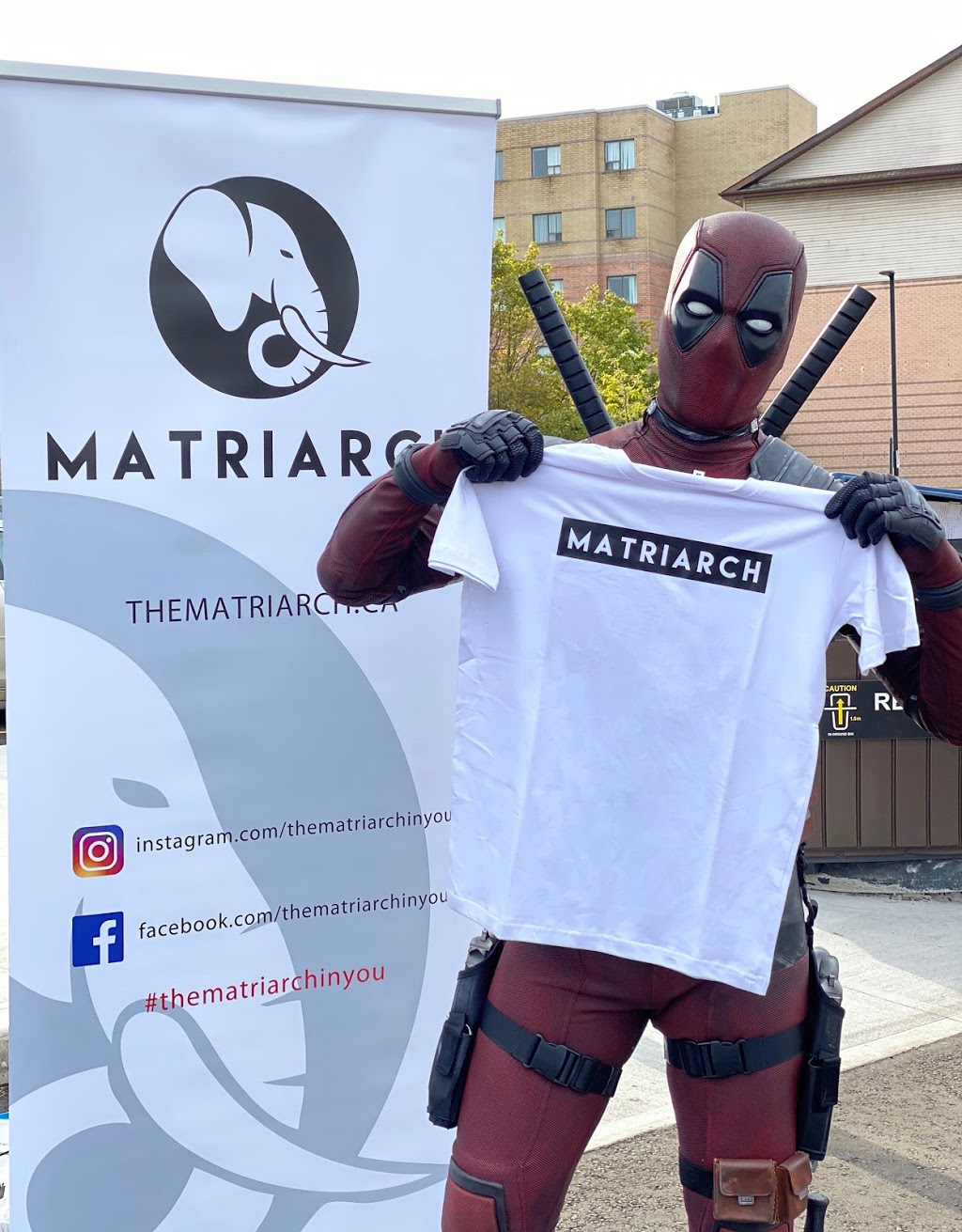Matriarch | 1325 Countrystone Dr, Kitchener, ON N2N 3R9, Canada | Phone: (226) 792-9065