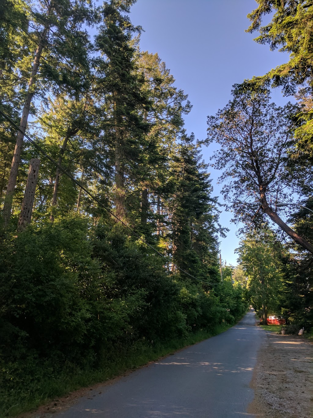 Ferndale Park | Vantreight Dr, Victoria, BC V8N 6L2, Canada | Phone: (250) 475-1775