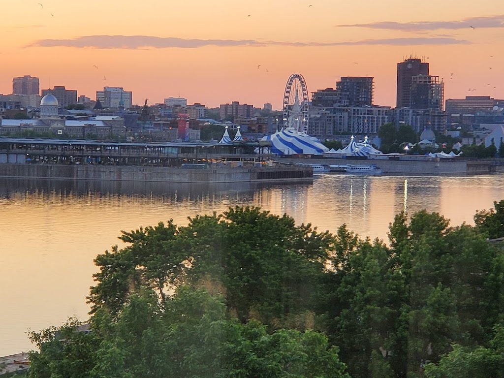Tropiques Nord | Tropiques Nord, 2500 Av Pierre-Dupuy, Montreal, QC H3C 4L1, Canada | Phone: (514) 397-0202