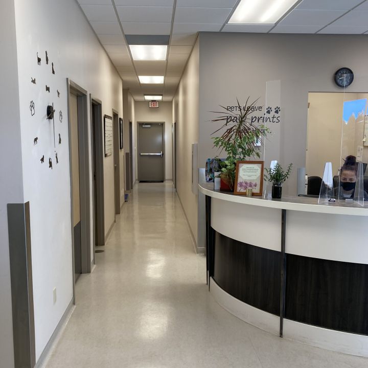 Chinook Pet Clinic | 487 41 St S, Lethbridge, AB T1J 5C8, Canada | Phone: (403) 327-2344