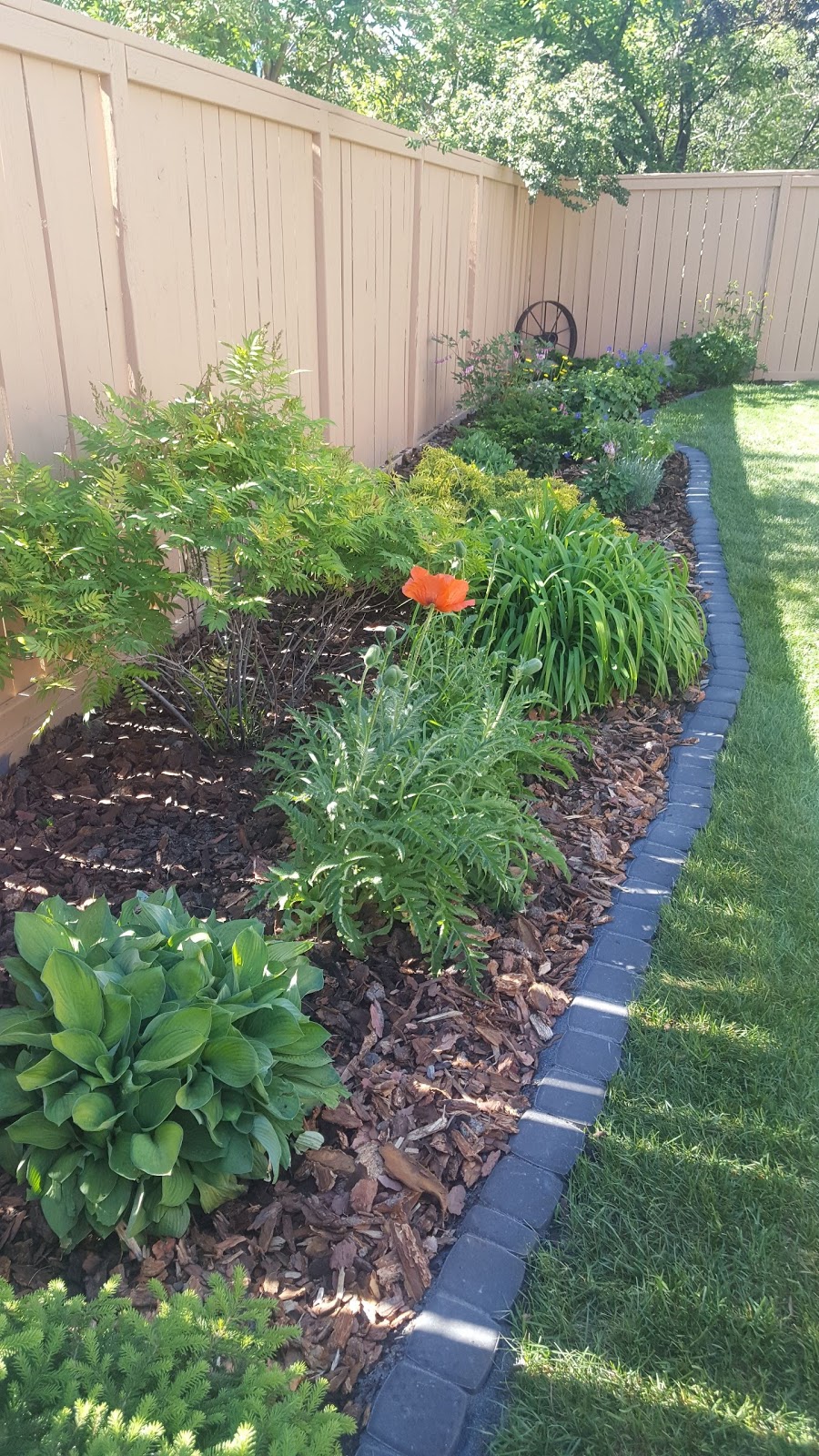 Cyrus Landscaping | 1428 Russet Rd NE, Calgary, AB T2E 5L6, Canada | Phone: (403) 200-4548