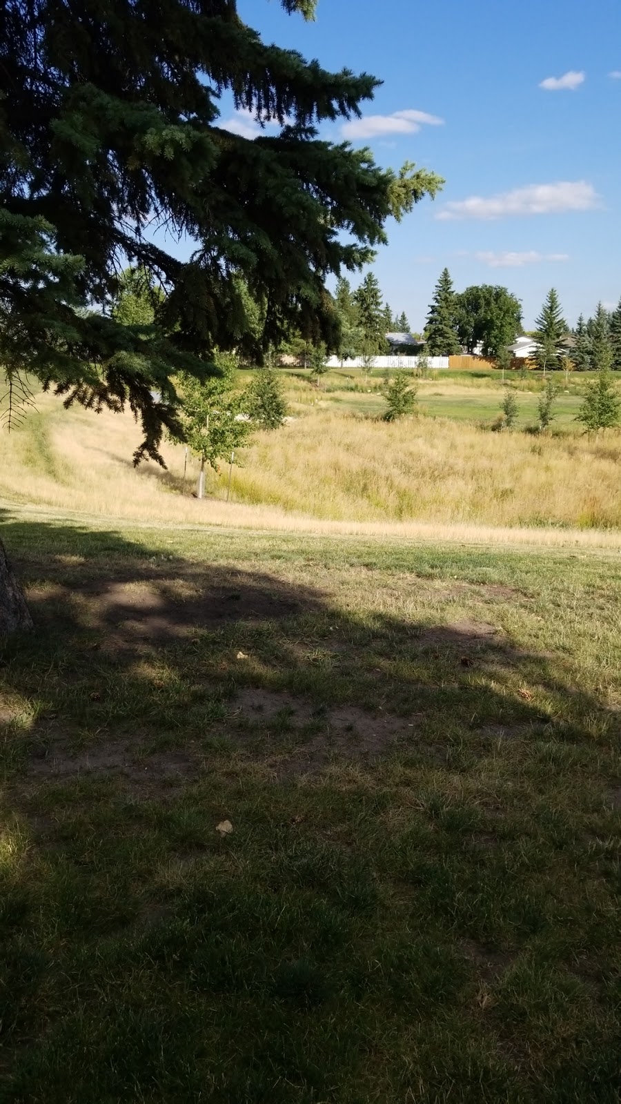 Charles Anderson Park | 3803 105 St, Edmonton, AB T6J 2K6, Canada