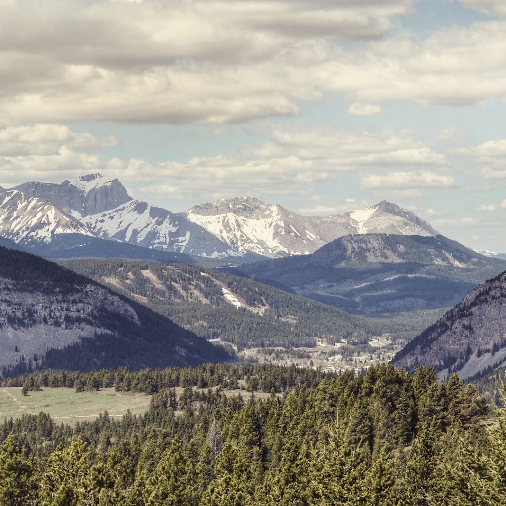 Municipality Of Crowsnest Pass | 2802 222 St, Bellevue, AB T0K 0C0, Canada | Phone: (403) 562-2390