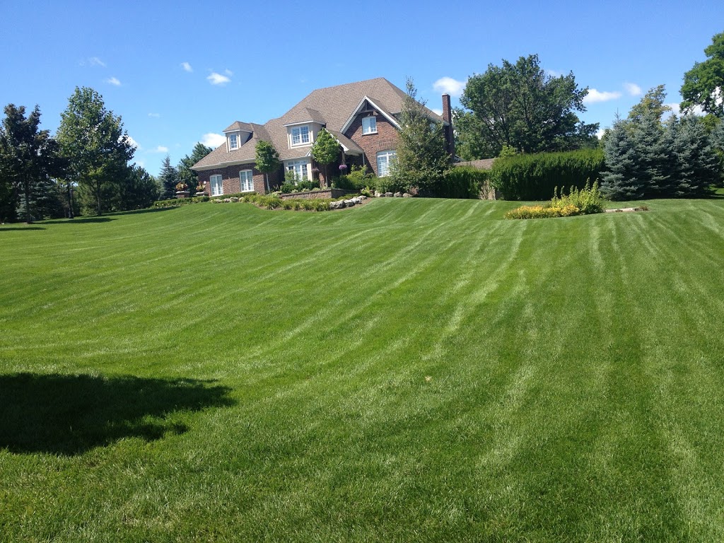 LawnMart | 101 Simona Dr #3, Bolton, ON L7E 4E8, Canada | Phone: (800) 814-1687