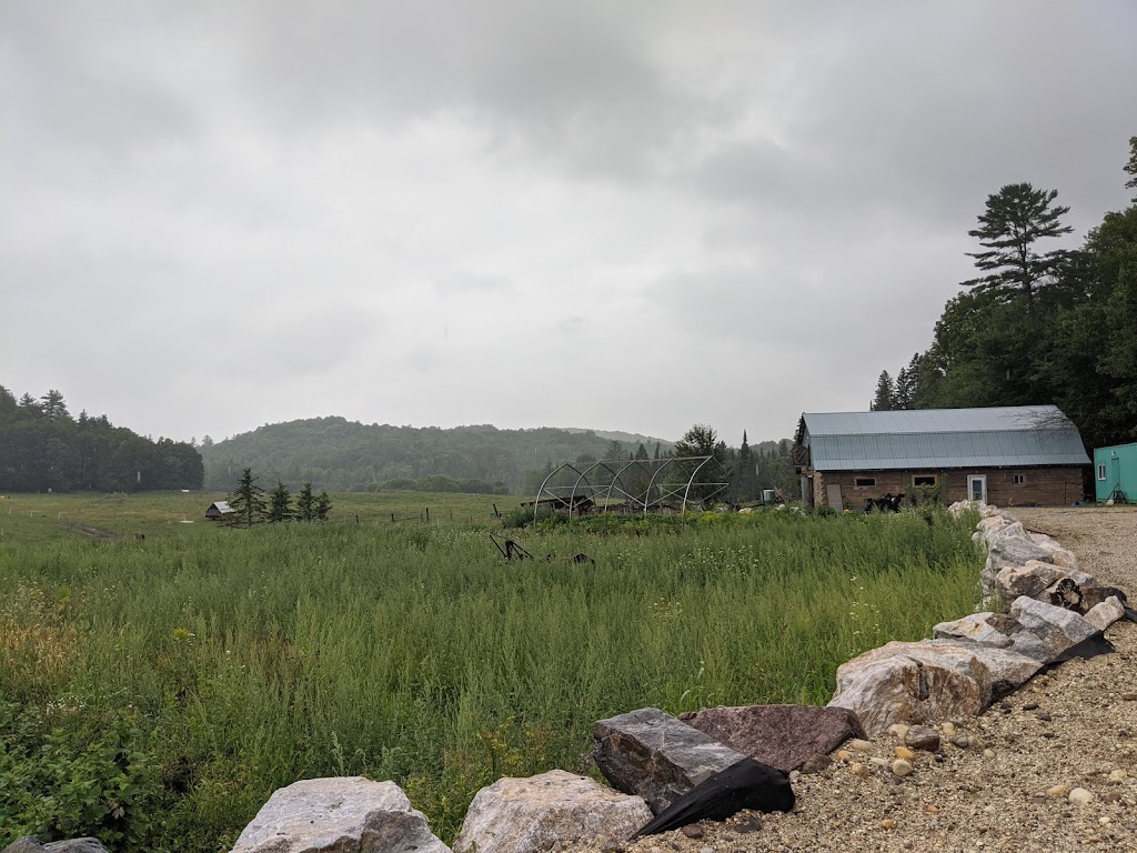 Alska farm | 70 Chem. du Lac-Bernard N, Low, QC J0X 2C0, Canada | Phone: (819) 592-1595
