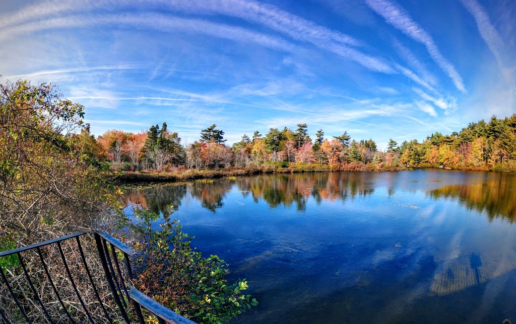 Frog Pond Park | Purcells Cove Rd, Halifax, NS B3P, Canada