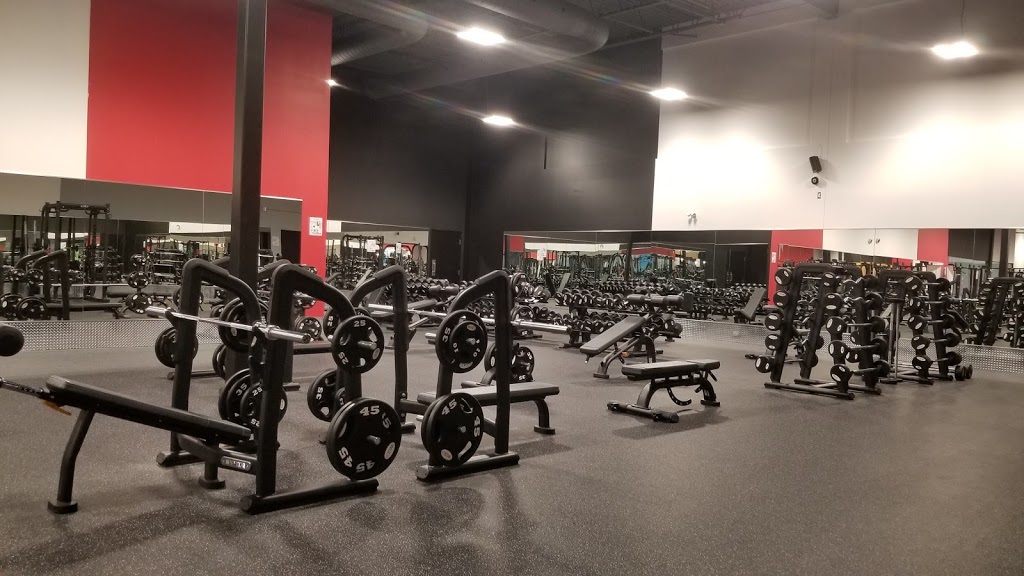 World Gym Sherbrooke | 3350 De, Boulevard De Portland, Sherbrooke, QC J1L 1K1, Canada | Phone: (819) 416-2500