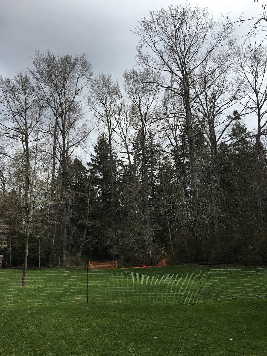 Fun Fun Park | 1472 128th St, Surrey, BC V4A 3X6, Canada | Phone: (604) 501-5050