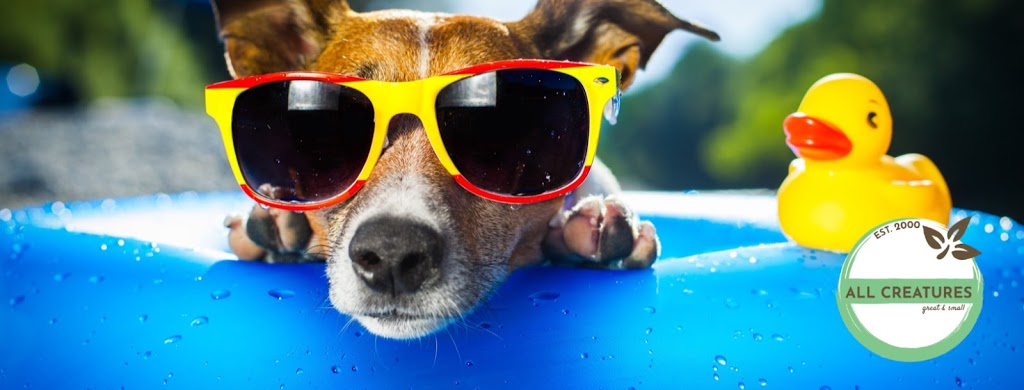 All Creatures Great & Small | 30 King St W, Cobourg, ON K9A 2L9, Canada | Phone: (905) 377-8619