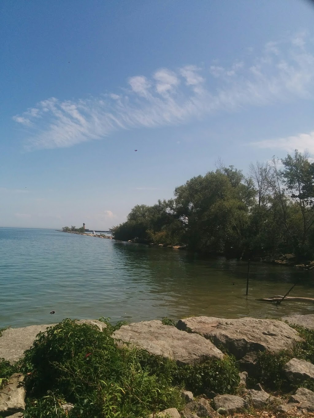 Tall Oaks Park | 44 Elmwood Ave S, Mississauga, ON L5G 4V2, Canada | Phone: (905) 615-4100