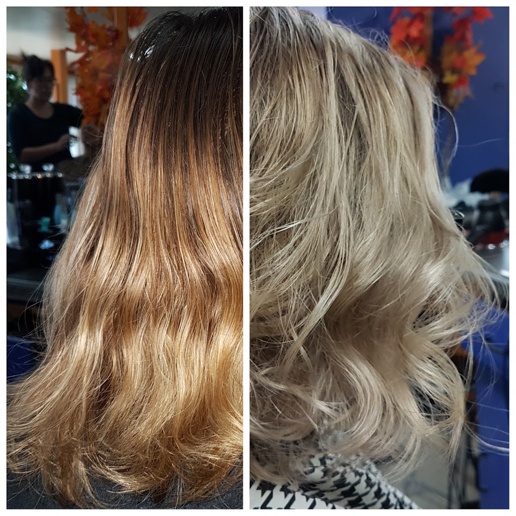 Silver Scissors | 447 Ferry Rd, Winnipeg, MB R3J 1W3, Canada | Phone: (204) 888-9283