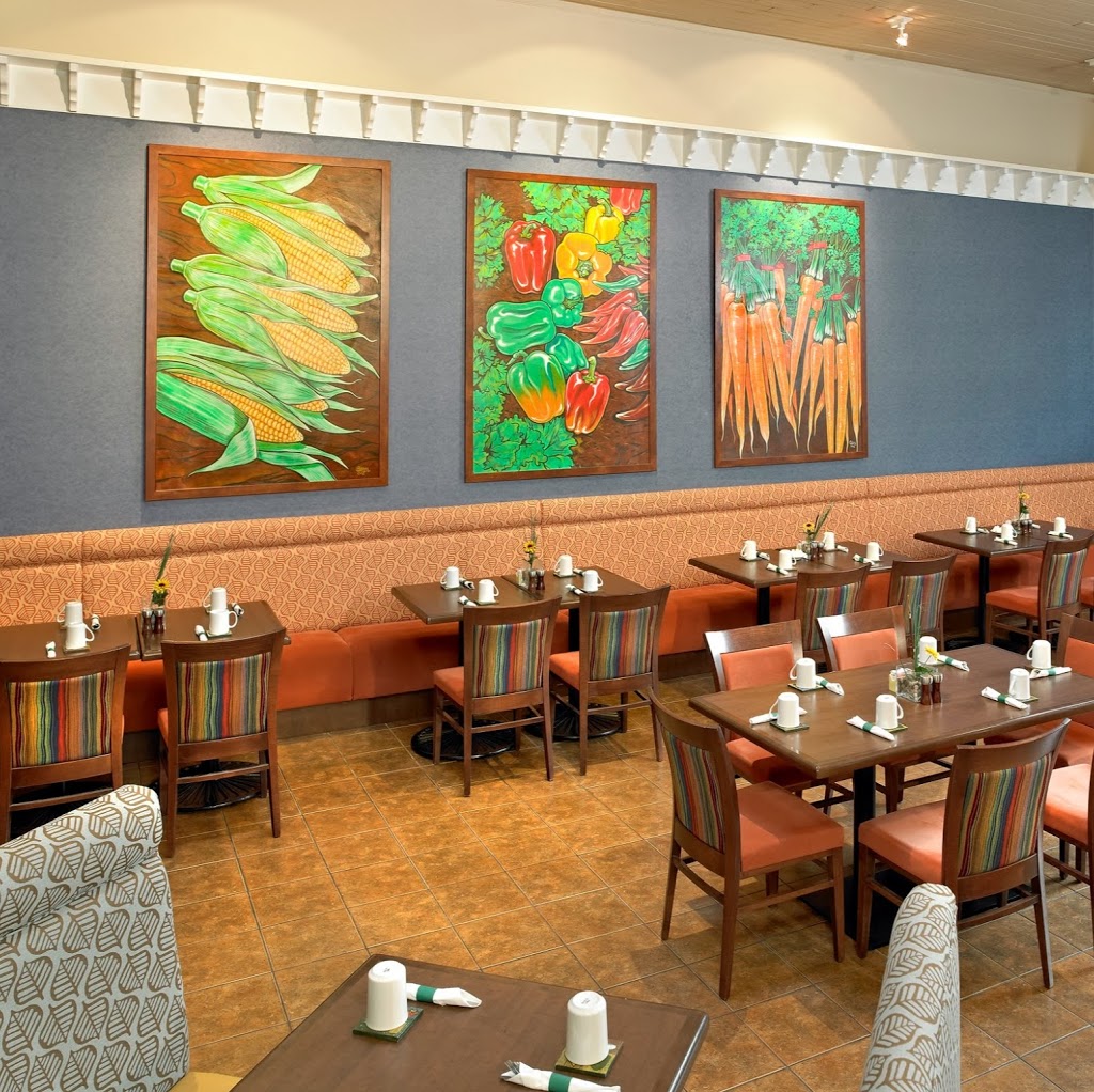 Graze Restaurant | restaurant | 11834 Kingsway NW, Edmonton, AB T5G 0X5, Canada | 7804545454 OR +1 780-454-5454