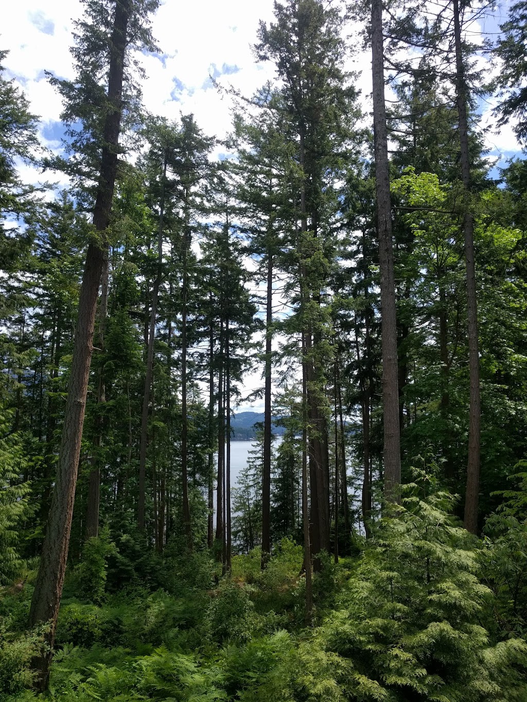 Keats Camps | Isld, Keats Island, BC V0N 1V0, Canada | Phone: (604) 925-6799