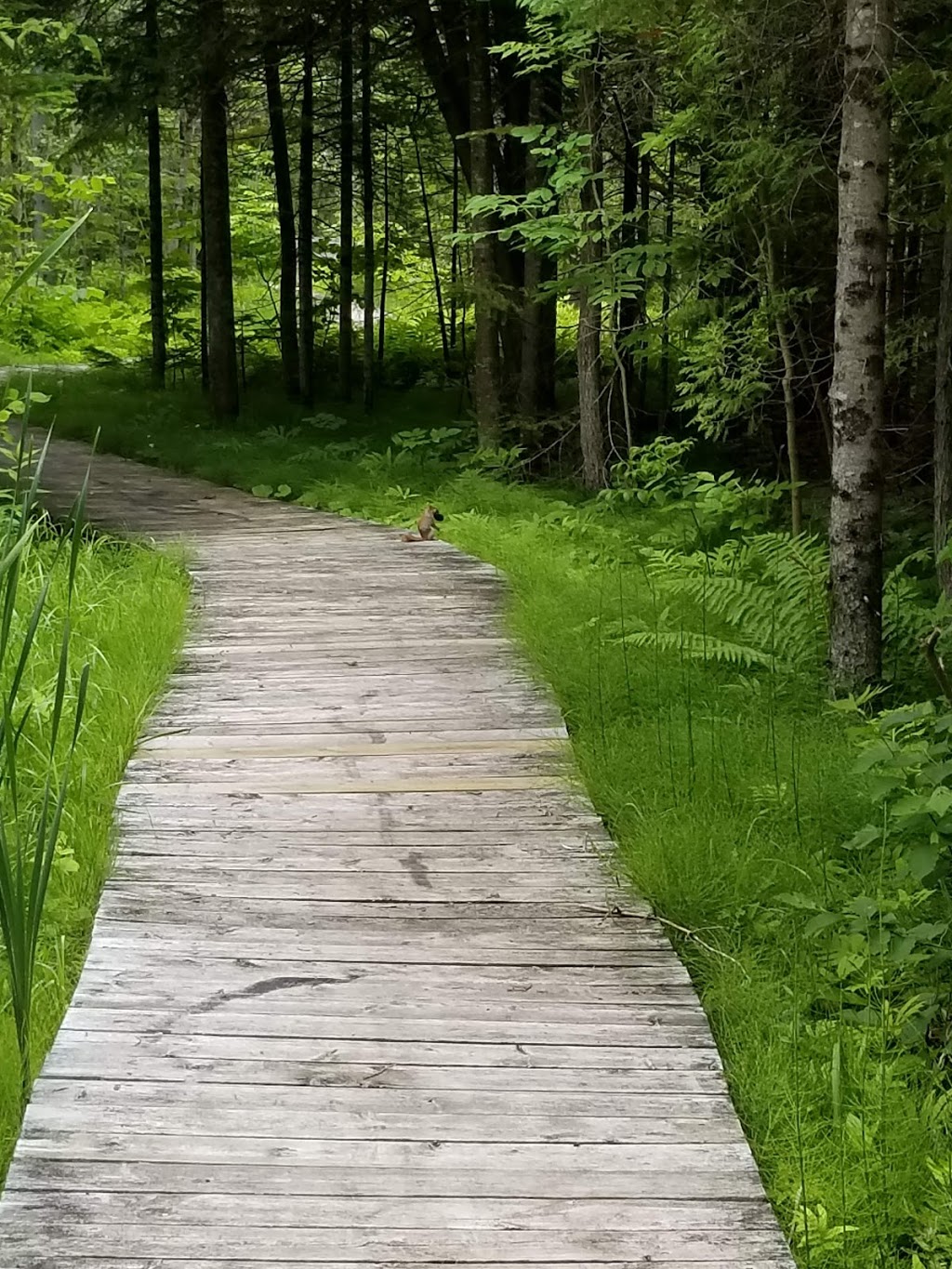 Parc des Berges | 10 QC-138, Donnacona, QC G3M 1B2, Canada