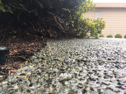 Rigid Concrete Raising and Repair | 887 Bucktail Rd, Mill Bay, BC V0R 2P1, Canada | Phone: (250) 880-1049