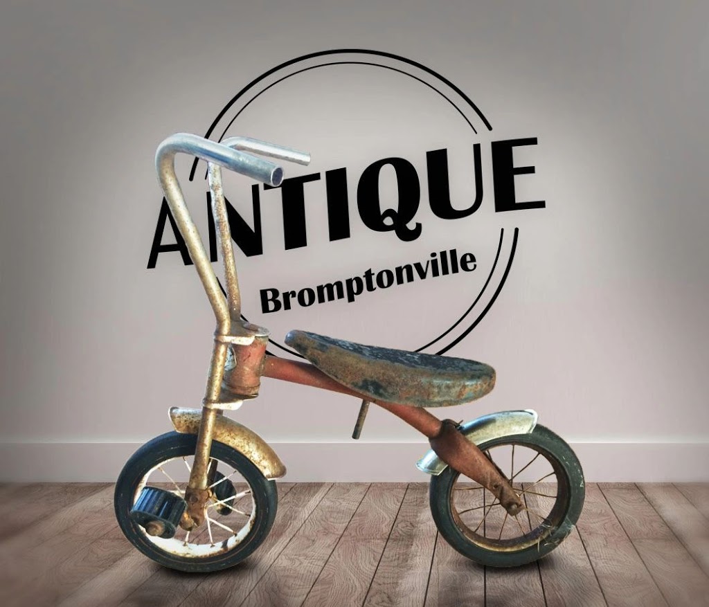 Antique Bromptonville | 506 Chemin du 3e Rang, Sherbrooke, QC J1C 0A6, Canada | Phone: (819) 919-5072