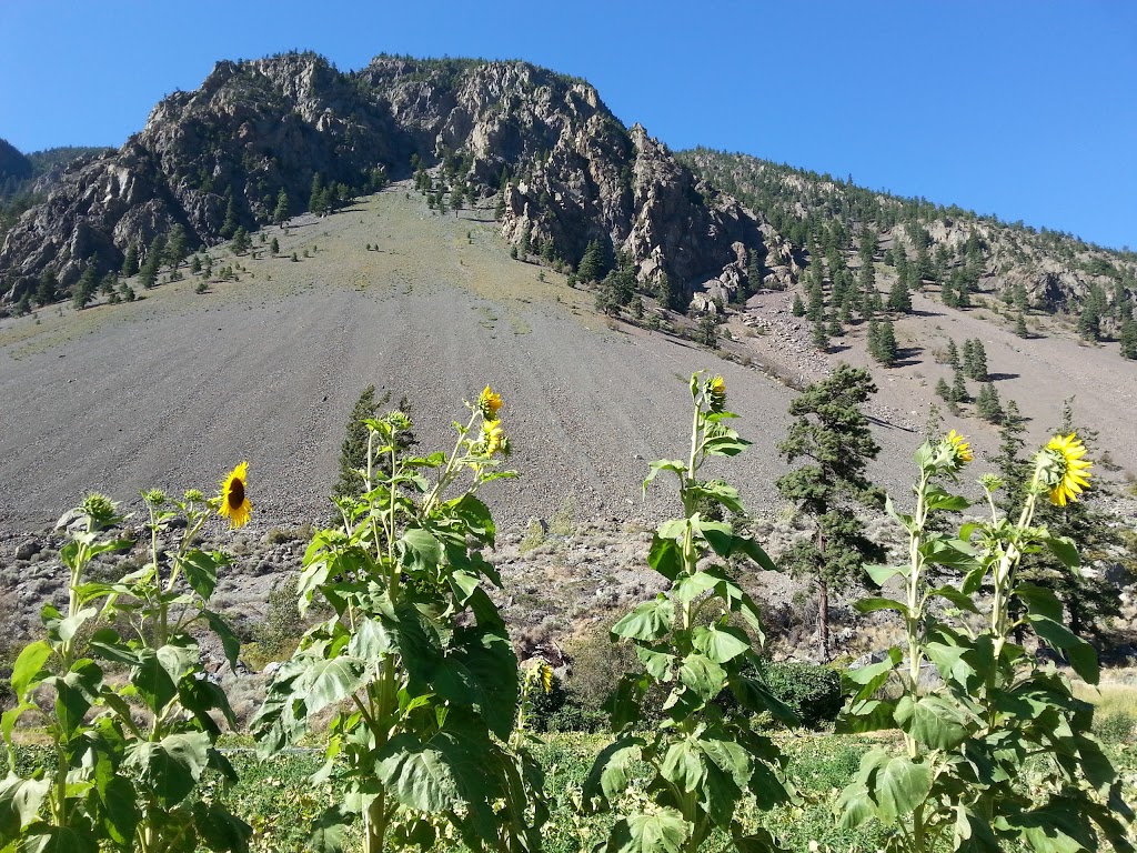 Blush Lane Organic Orchard | 3105 BC-3, Keremeos, BC V0X 1N1, Canada | Phone: (250) 499-5392