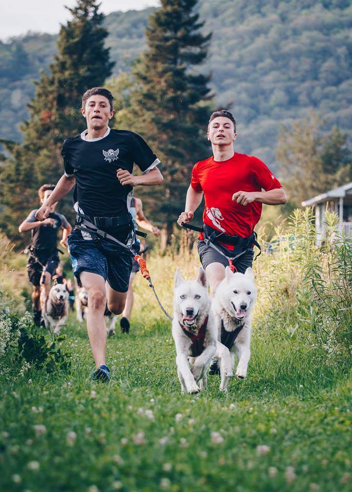 Chiens de traîneau Gatineau Sled Dogs | 10 Mnt Dumouchel, Thurso, QC J0X 3B0, Canada | Phone: (819) 983-2410