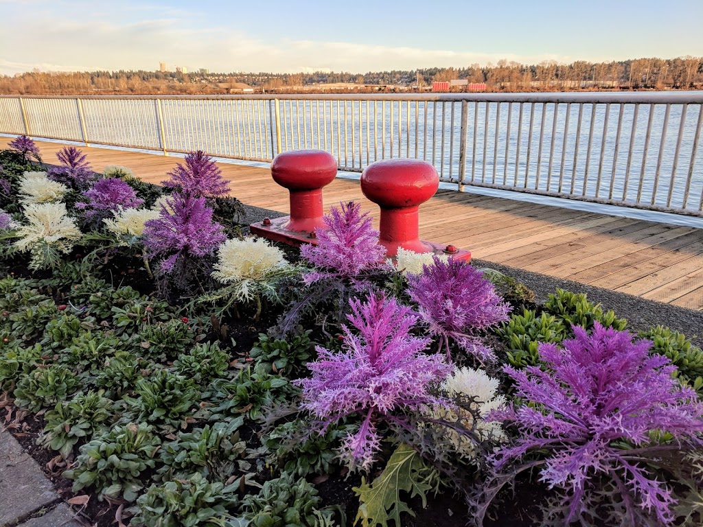 Quayside Park | 1260 Quayside Dr, New Westminster, BC V3M 7B1, Canada