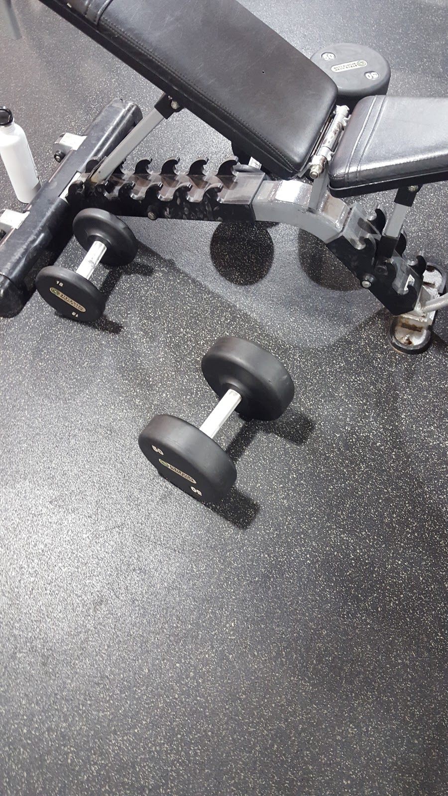 Steve Nash Fitness World | 7337 120 St #100, Delta, BC V4C 6P5, Canada | Phone: (604) 507-9889