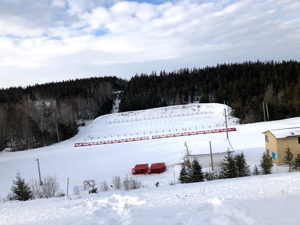 Mark Arendz Provincial Ski Park at Brookvale Alpine | 2018 PE-13, North Wiltshire, PE C0A 1Y0, Canada | Phone: (902) 658-7862