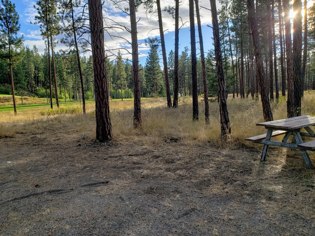 Princeton Golf Club | 365 Darcy Mountain Rd, Princeton, BC V0X 1W0, Canada | Phone: (250) 295-6123