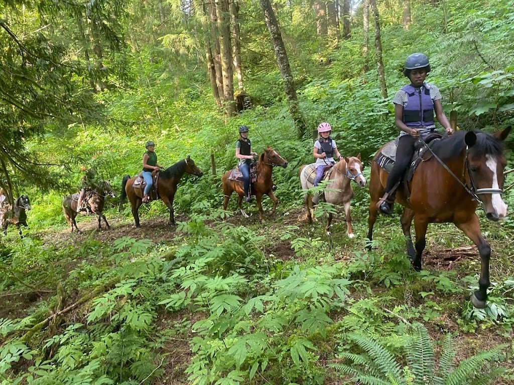 Discovery Equine at Cheam Stables | 9345 Ford Rd, Rosedale, BC V0X 1X2, Canada | Phone: (604) 316-0803