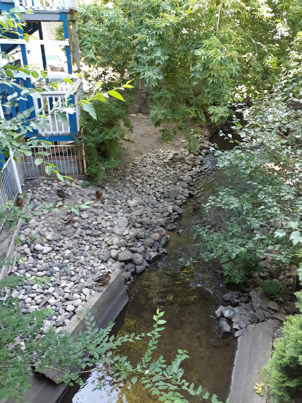 Blue Stream Motel | 4202 32 St, Vernon, BC V1T 5P4, Canada | Phone: (250) 545-2221